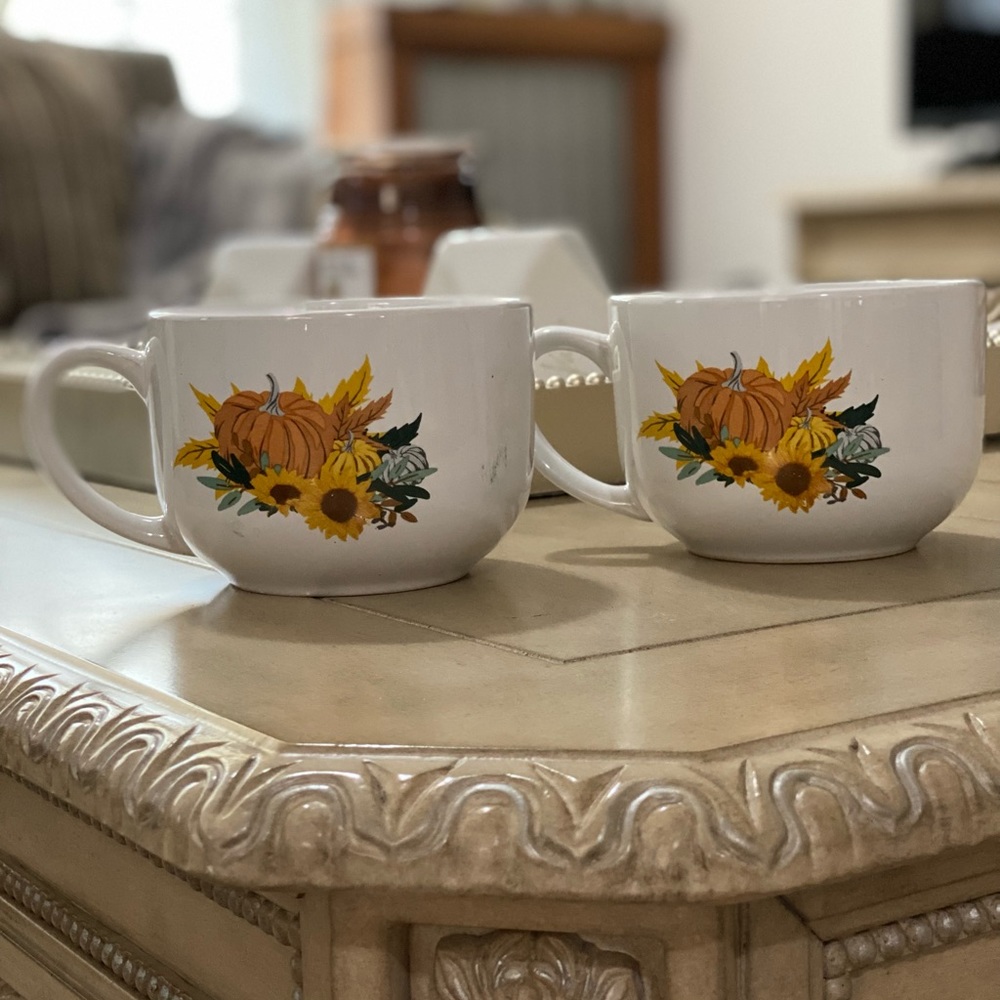 Set of 2 fall soup mug